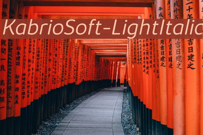 KabrioSoft-LightItalic Font examples
