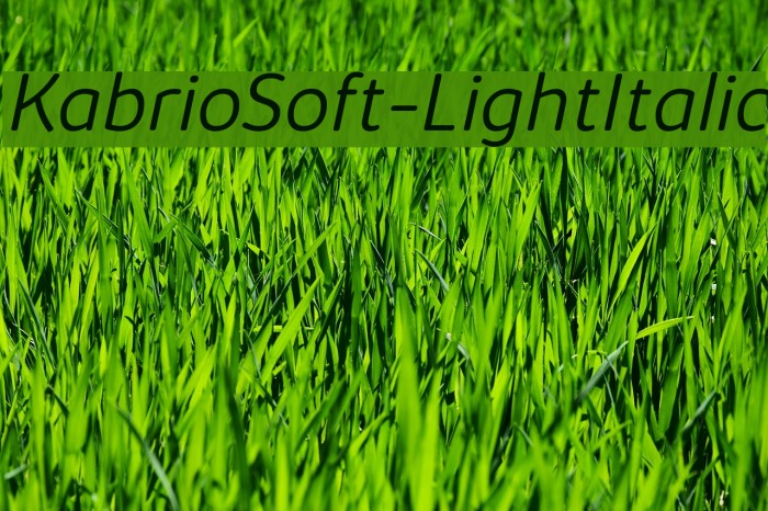 KabrioSoft-LightItalic Font examples