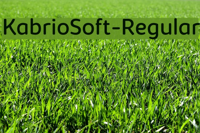 KabrioSoft-Regular Font examples