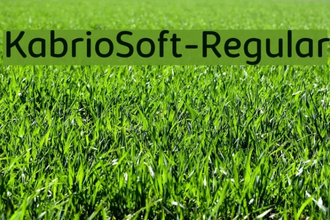 KabrioSoft-Regular Example 3