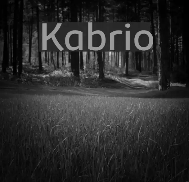 Kabrio Font examples