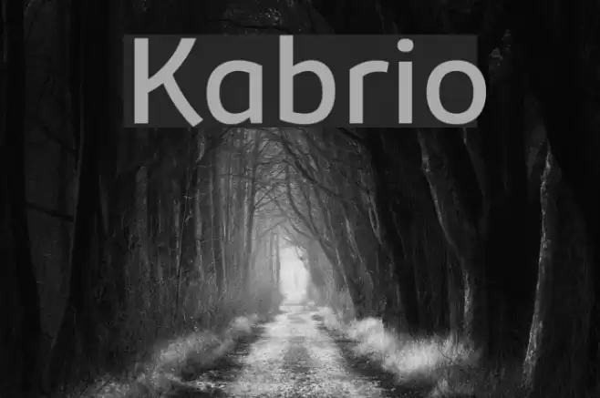 Kabrio Font examples