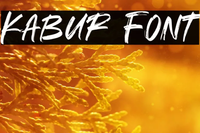Kabur Example 3