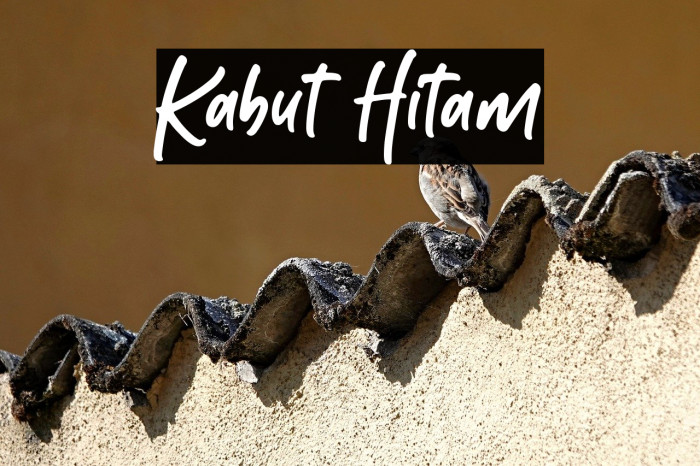 Kabut Hitam Example 2