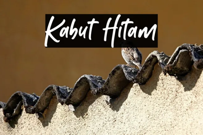 Kabut Hitam Example 2