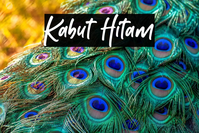 Kabut Hitam Example 3