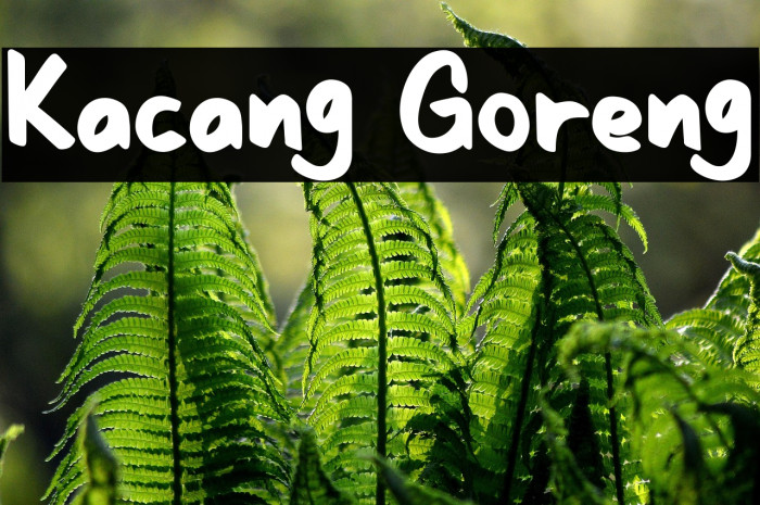 Kacang Goreng Example 3