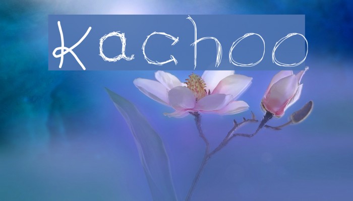 Kachoo Fonte examples
