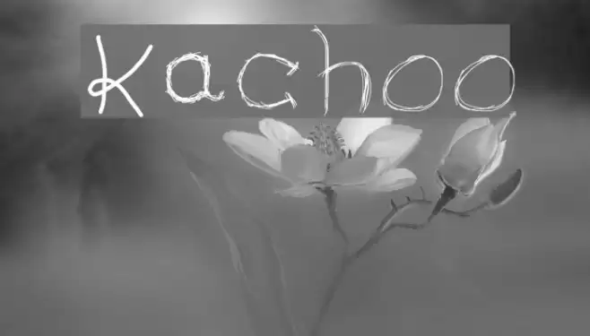 Kachoo Font examples