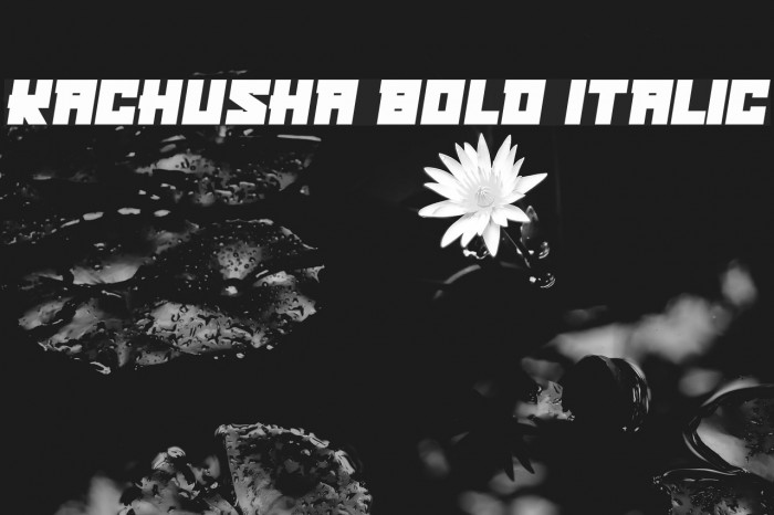 Kachusha Bold Italic Example 1