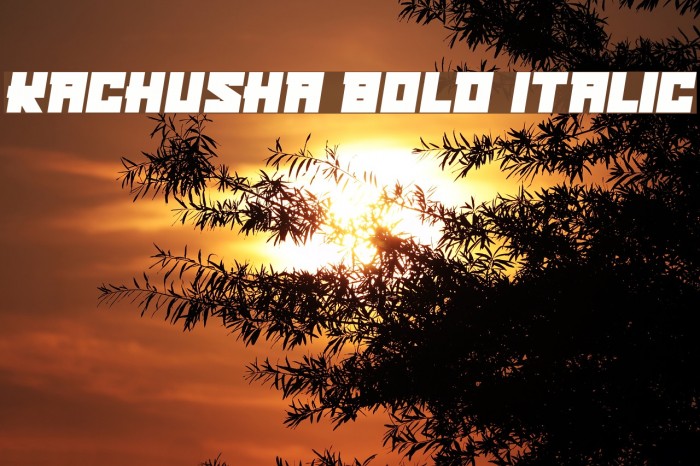 Kachusha Bold Italic Example 2