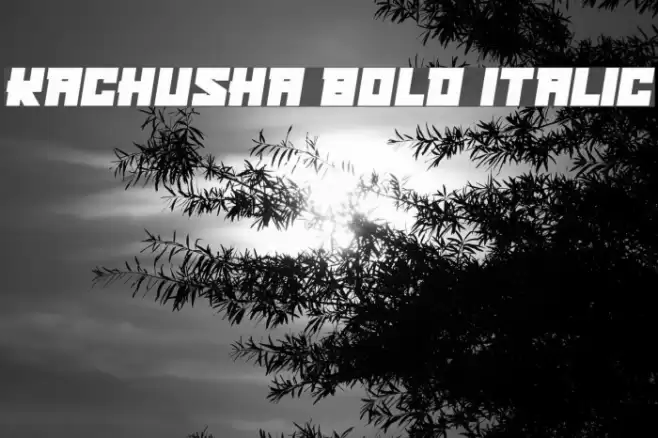 Kachusha Bold Italic Font examples