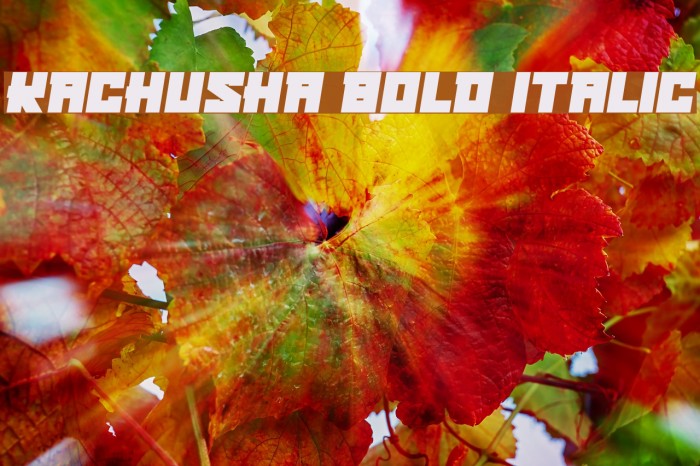 Kachusha Bold Italic Example 3