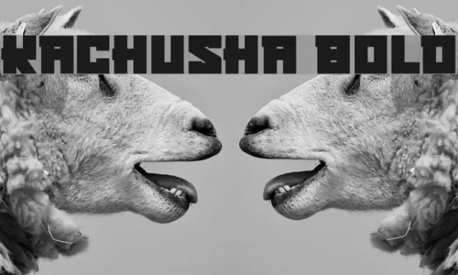 Kachusha Bold Font examples
