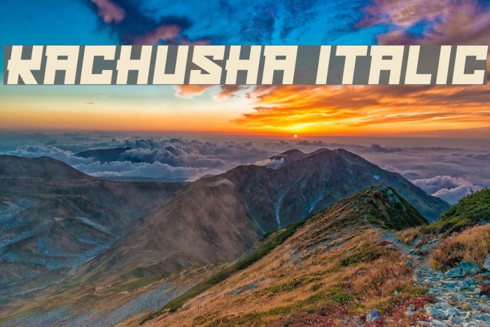 Kachusha Italic Font examples