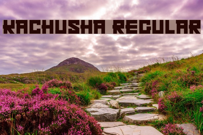 Kachusha Regular Font examples