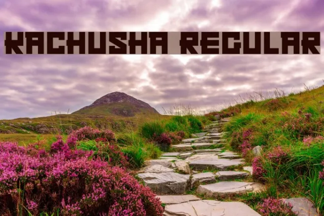 Kachusha Regular Example 1