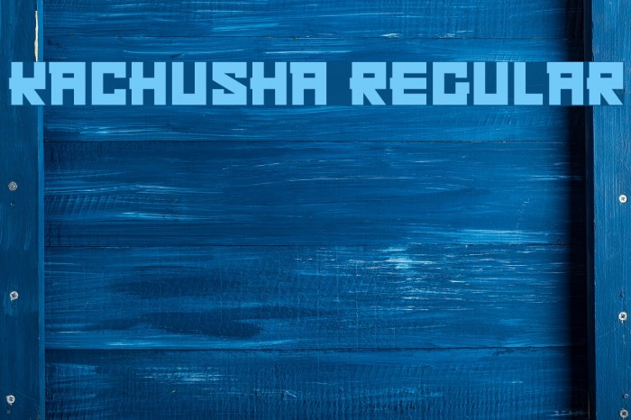Kachusha Regular Font examples