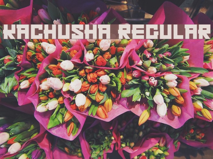 Kachusha Regular Font examples