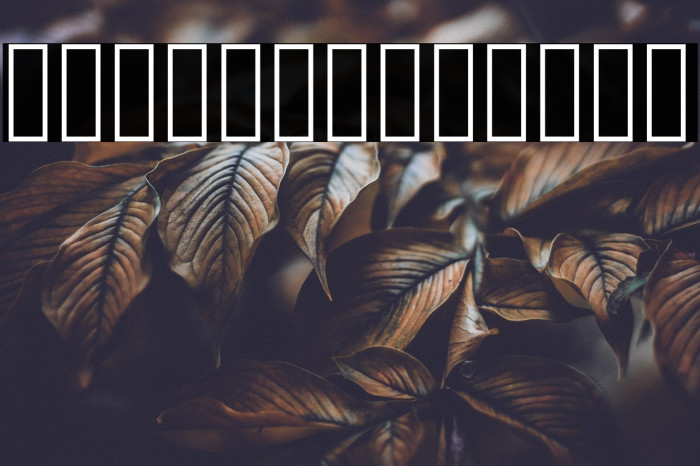 KacstTitleL Example 2