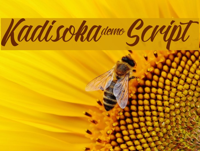 Kadisoka-Script Example 2