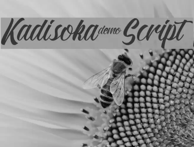 Kadisoka-Script Font examples