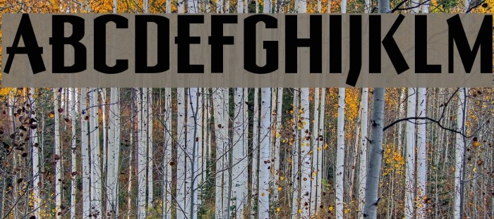 KadlecUT Bold Font examples