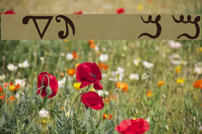 Kadosh Samaritan Font examples