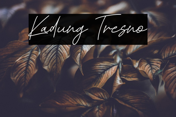 Kadung Tresno Example 1