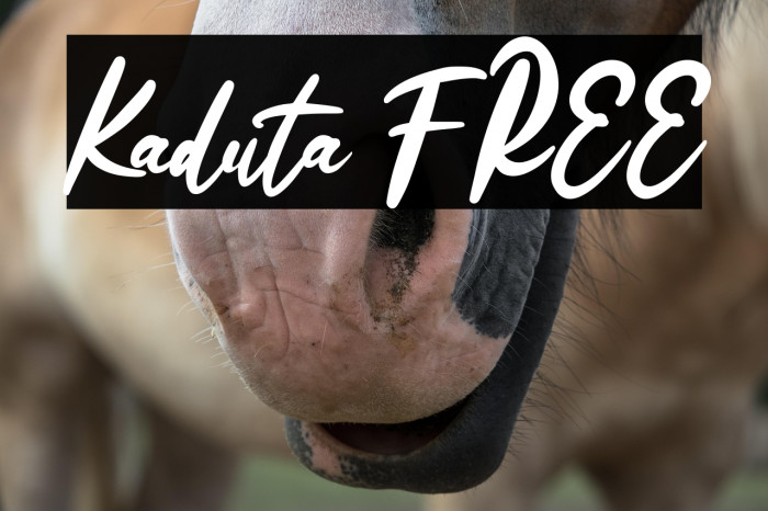 Kaduta FREE Example 2