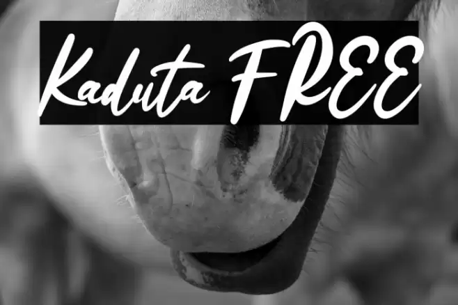 Kaduta FREE Font examples