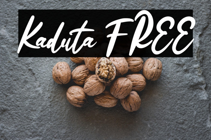 Kaduta FREE Example 3
