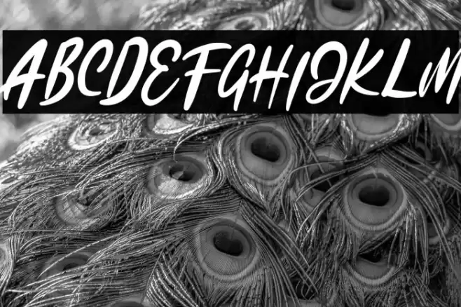 KadutaFREE Font examples