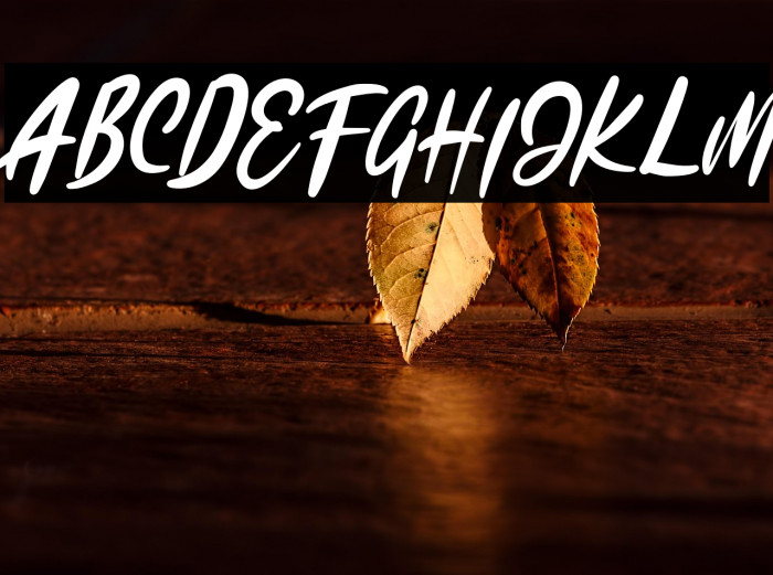 KadutaFREE Example 2