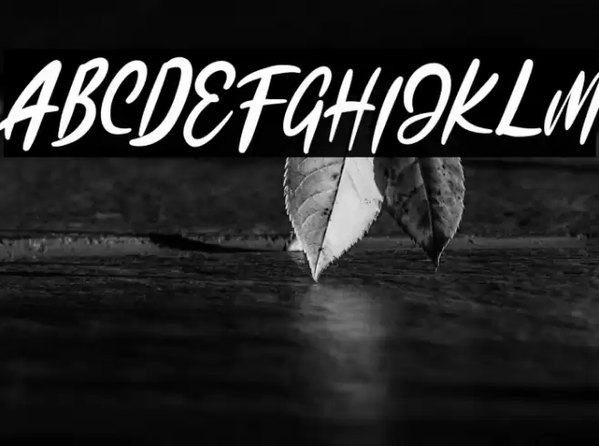 KadutaFREE Font examples