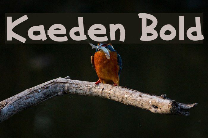 Kaeden Bold Font examples
