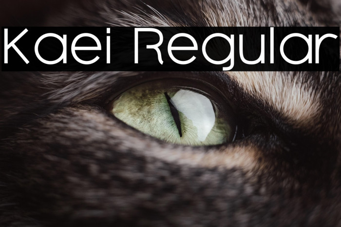 Kaei Regular Example 2