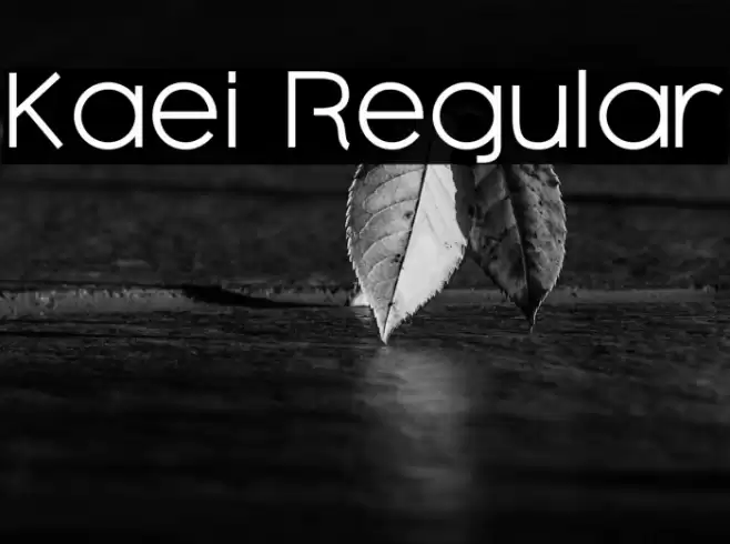 Kaei Regular Fonte examples