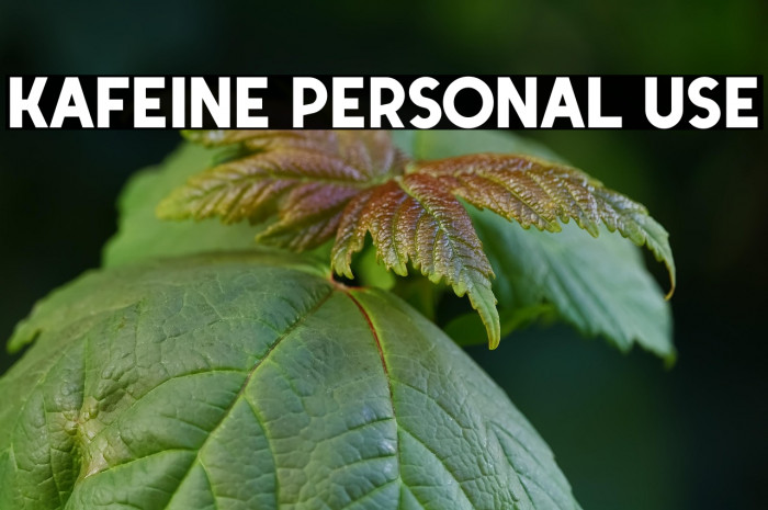 Kafeine Personal Use Example 1