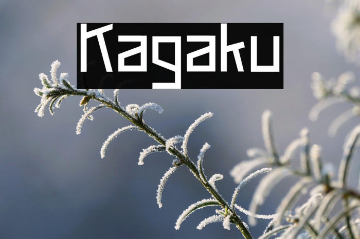 Kagaku Example 1
