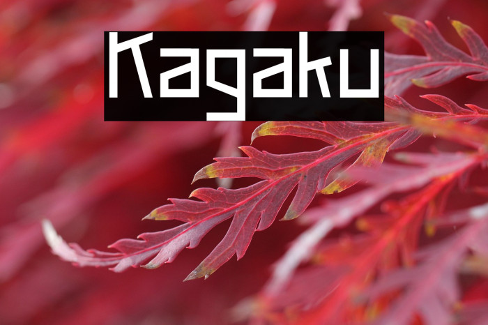 Kagaku Example 2