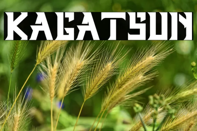 Kagatsun Example 2