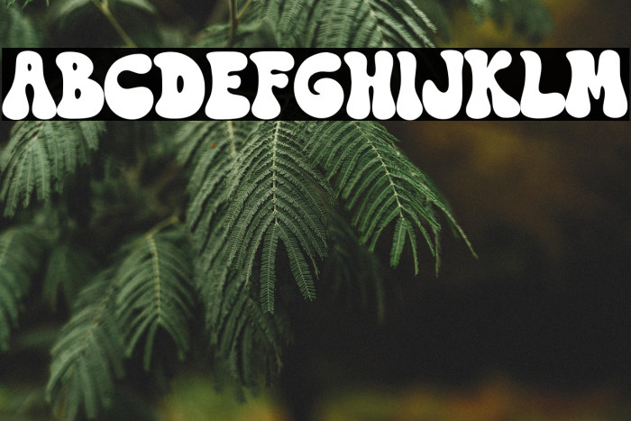 Kage Retro Example 3