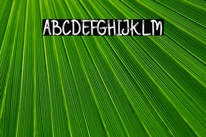 Kagomechan Texture Demo Version Example 3