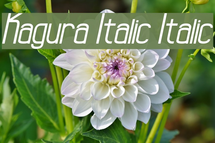 Kagura Italic Italic Example 1