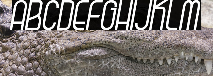 Kagura Italic Example 2