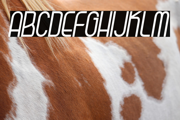 Kagura Italic Example 3