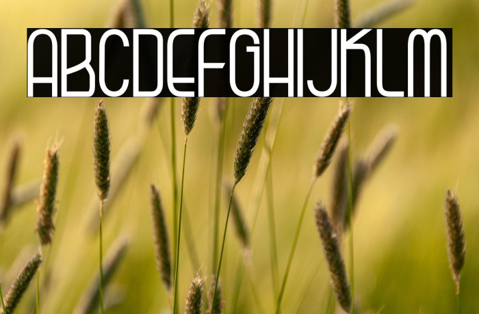 Kagura Regural Example 3