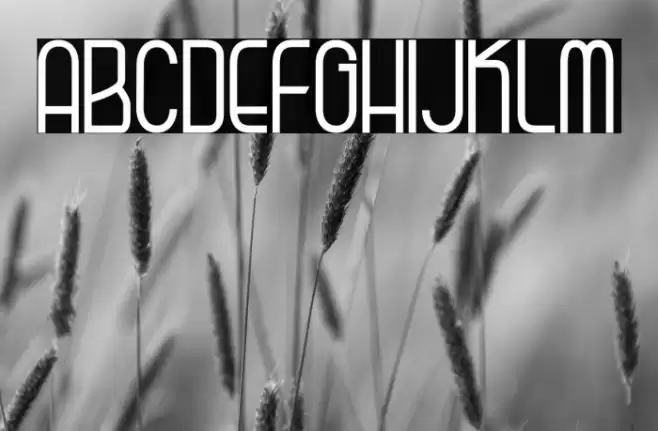 Kagura Regural Font examples