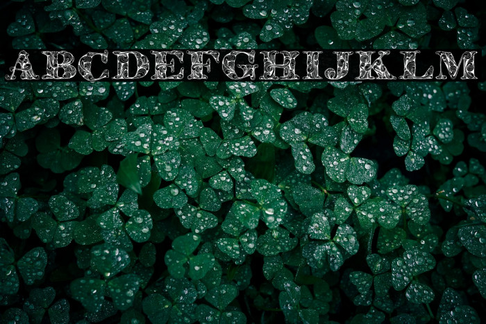 KahirPersonalUse Regular Example 2